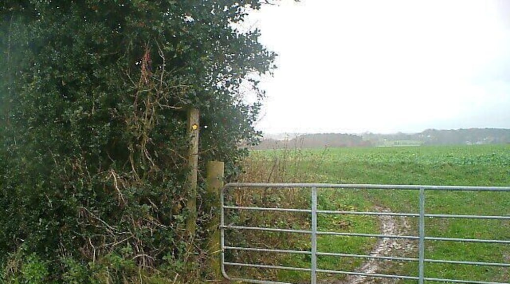 Church footpath The footpath from the farm entrance to Brailsford church and village.