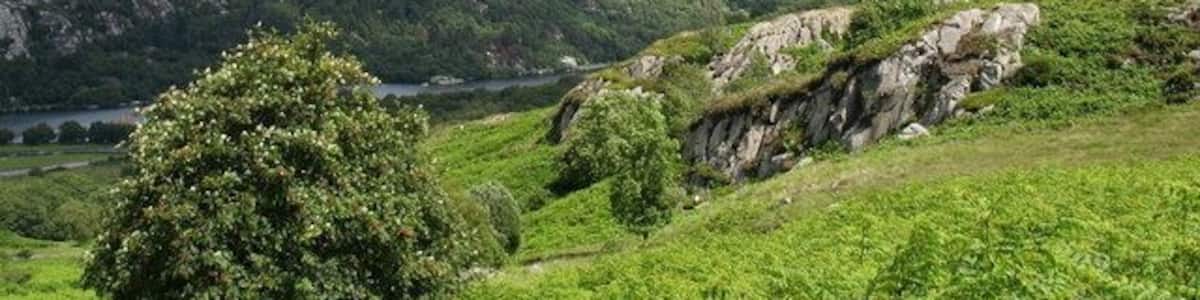 Rock outcrops above Llwyncoed Farm