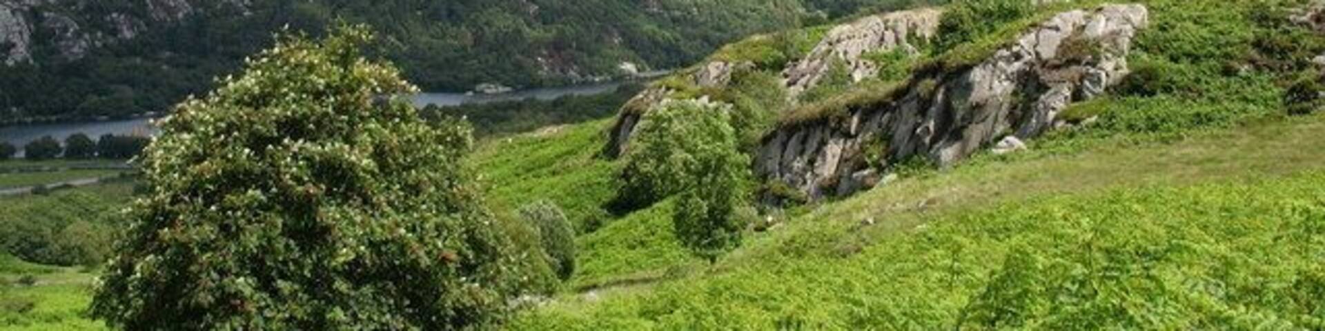 Rock outcrops above Llwyncoed Farm