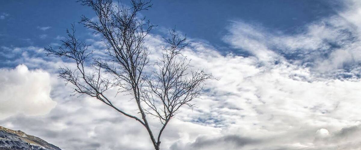 Taken at the North end of Llyn Padarn, Llanberis near Brynrefail. Mount Snowdon is to the right In the photograph. Minus 7 degrees C. #WinterWonders
