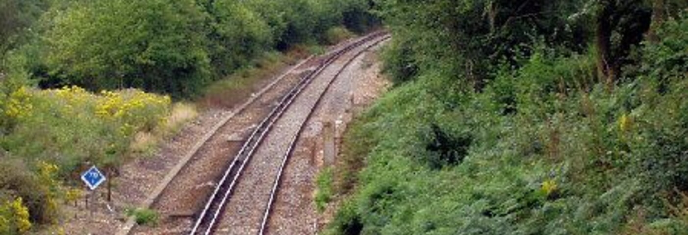Vías de tren serpenteando por un área boscosa con árboles frondosos y vegetación densa.