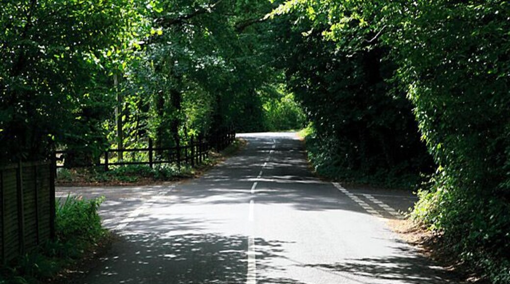 Southern end of Lockhams Road, Curdridge. Chapel Lane, most of which is off picture right, crosses Lockhams Road here. Both then within a few metres meet the A334 at the top of Kitnocks Hill, isolating a triangle of trees, which can be partly seen on the left beyond the crossroads.