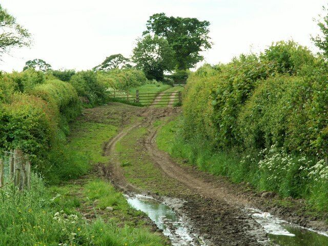Footpath to Wetheral Pastures
