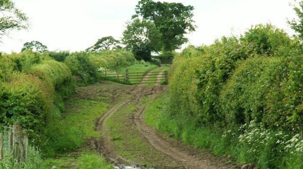 Footpath to Wetheral Pastures