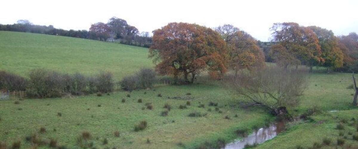 A rural landscape with a small stream, grassy fields, and trees with autumn foliage.