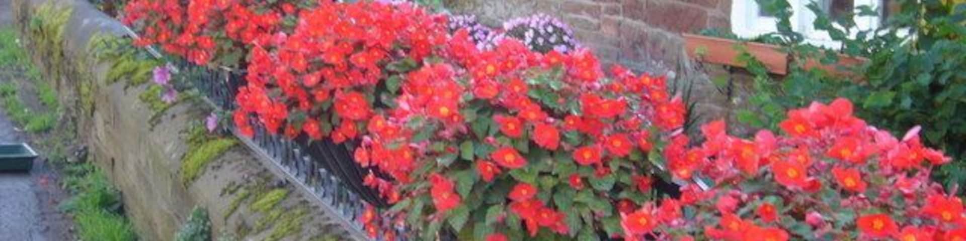 Old Cumbrian Farmhouse