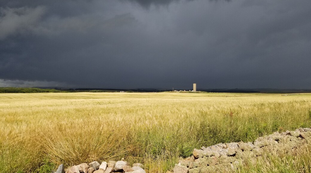 "The Stark Contrast of Where Light and Darkness Meet"