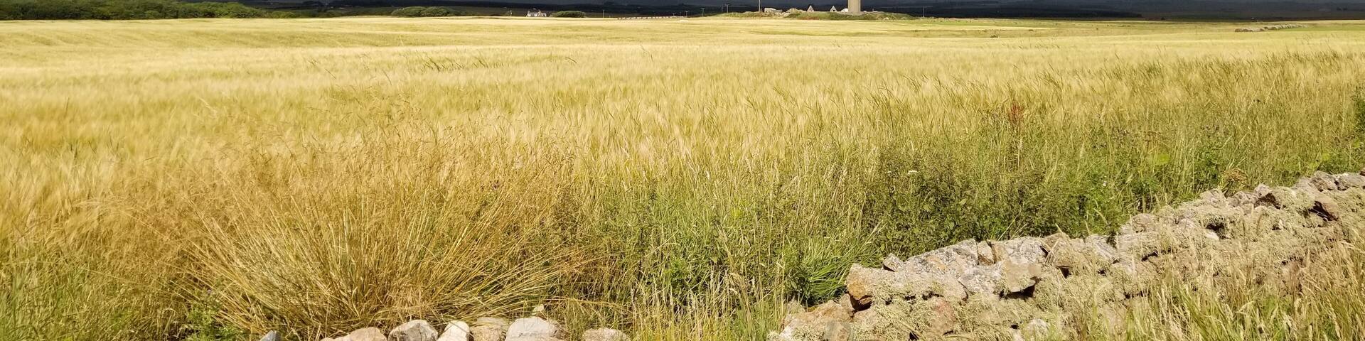 "The Stark Contrast of Where Light and Darkness Meet"