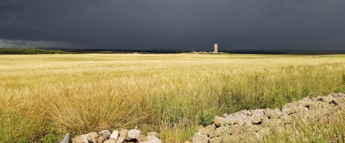 A field of wheat with a stone wall in the foreground and a tall tower in the distance under a stormy sky.