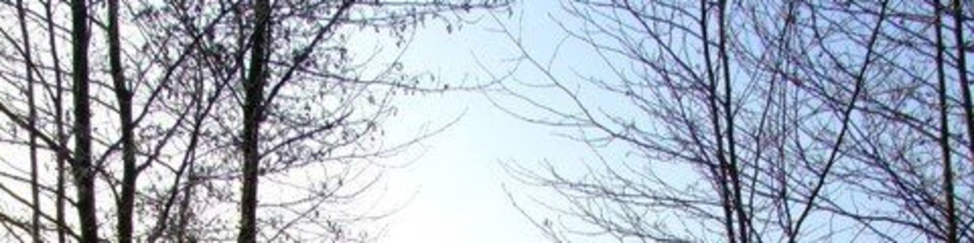 Brickyard Pond, Crowle A wintry shot of one of the many old clay quarry ponds at the old brickyards at Crowle.