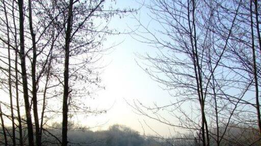 Brickyard Pond, Crowle A wintry shot of one of the many old clay quarry ponds at the old brickyards at Crowle.