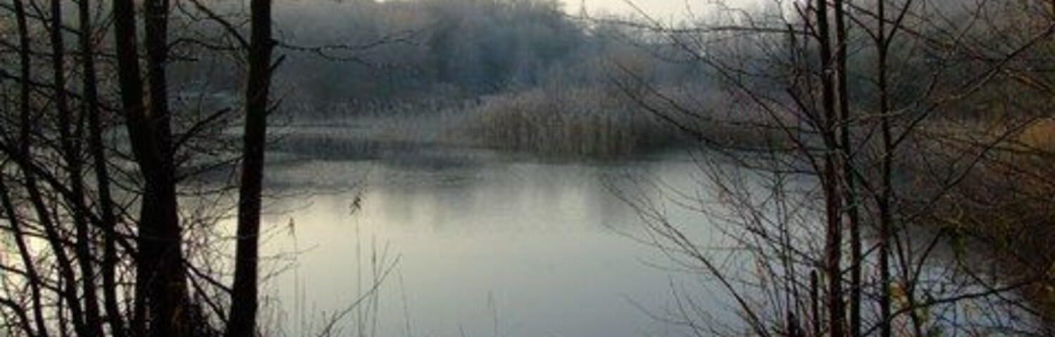 A calm lake surrounded by leafless trees and a misty background.