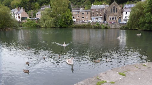 Mill Pond, Cromford.