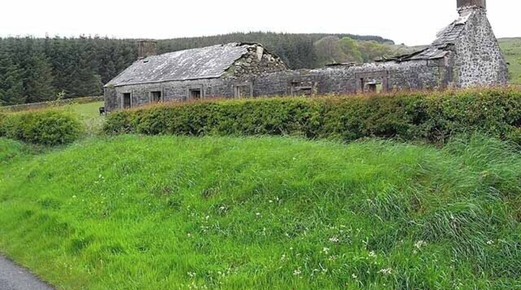 Ruined cottage near Meikle Beoch The wood in the background adjoins Larglanglea House