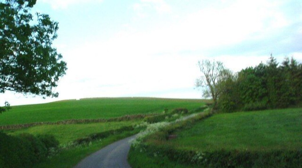 Road at Longbeach Bend to the northeast