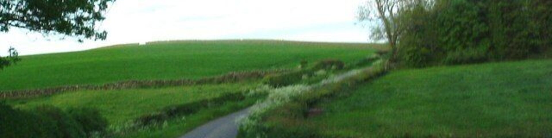 Road at Longbeach Bend to the northeast