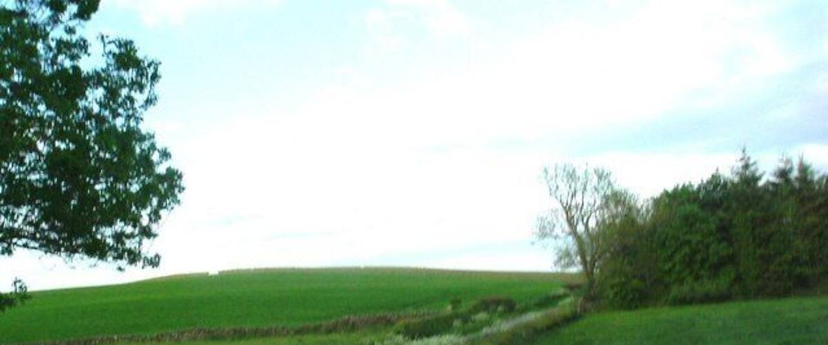 A narrow rural road curving through green fields with stone walls and trees.
