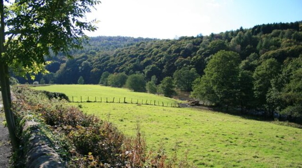 The Derwent Valley A beautiful wooded section of the Derwent's course near Whatstandwell.