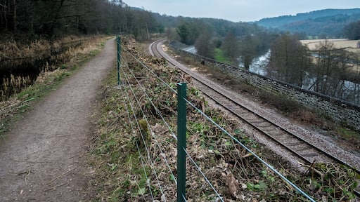 Looking South along the Cromford Canal, about 1km South of Whatstandwell. The picture clearly shows the four forms of transport along this section of the valley, from left to right: the canal and its towpath, railway line, road (the A6) and the river Derwent.