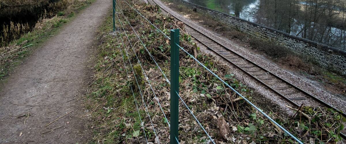 A dirt path alongside railway tracks, surrounded by trees and a river.