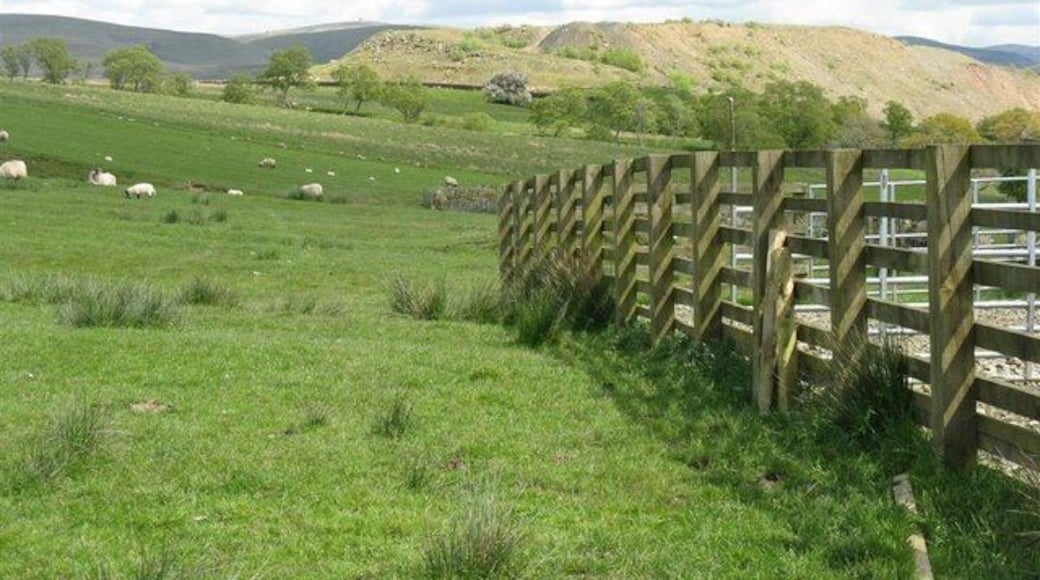 Pasture, cattle pens and spoil heap The radar installation on Lowther Hill can just be made out on the horizon, to the left of the spoil heap.