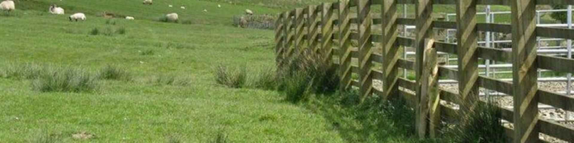 Pasture, cattle pens and spoil heap The radar installation on Lowther Hill can just be made out on the horizon, to the left of the spoil heap.