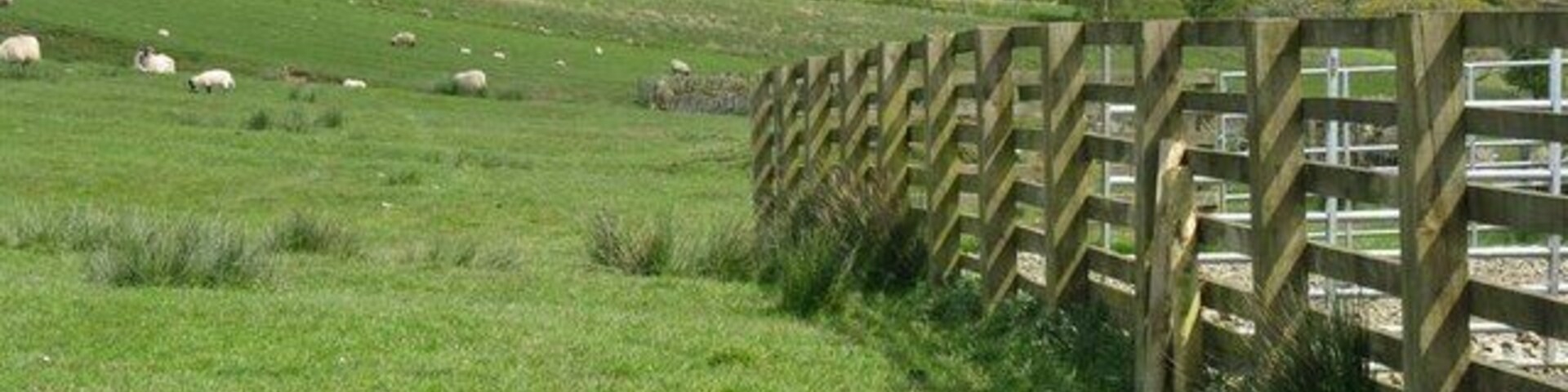Pasture, cattle pens and spoil heap The radar installation on Lowther Hill can just be made out on the horizon, to the left of the spoil heap.