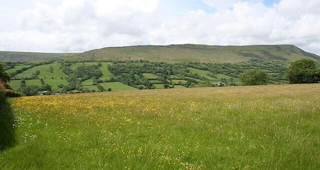 Rolling hills, a field of yellow flowers, and a distant tree line.