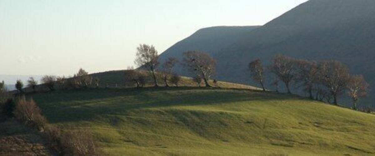 A grassy hill with scattered trees and a mountain in the background.