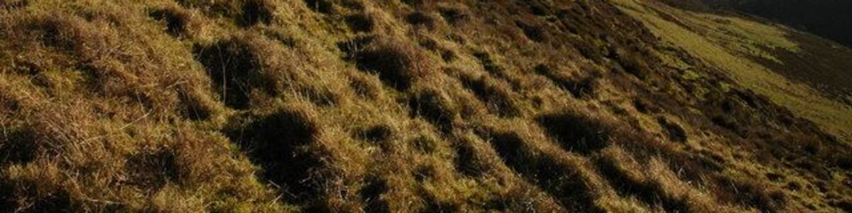 The upper Olchon Valley The upper Olchon Valley viewed from the western slopes of Black Hill, on the right is the Hatterrall Ridge, the boundary between England and Wales, and also the route of Offa's Dyke path.