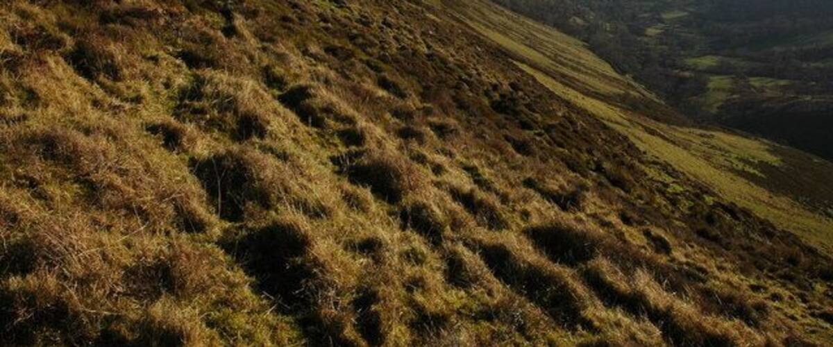 The upper Olchon Valley The upper Olchon Valley viewed from the western slopes of Black Hill, on the right is the Hatterrall Ridge, the boundary between England and Wales, and also the route of Offa's Dyke path.