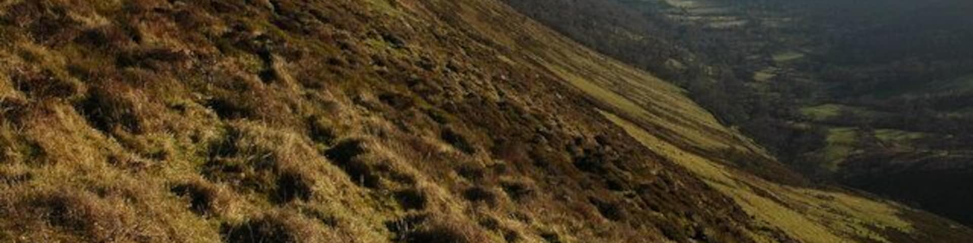 The upper Olchon Valley The upper Olchon Valley viewed from the western slopes of Black Hill, on the right is the Hatterrall Ridge, the boundary between England and Wales, and also the route of Offa's Dyke path.