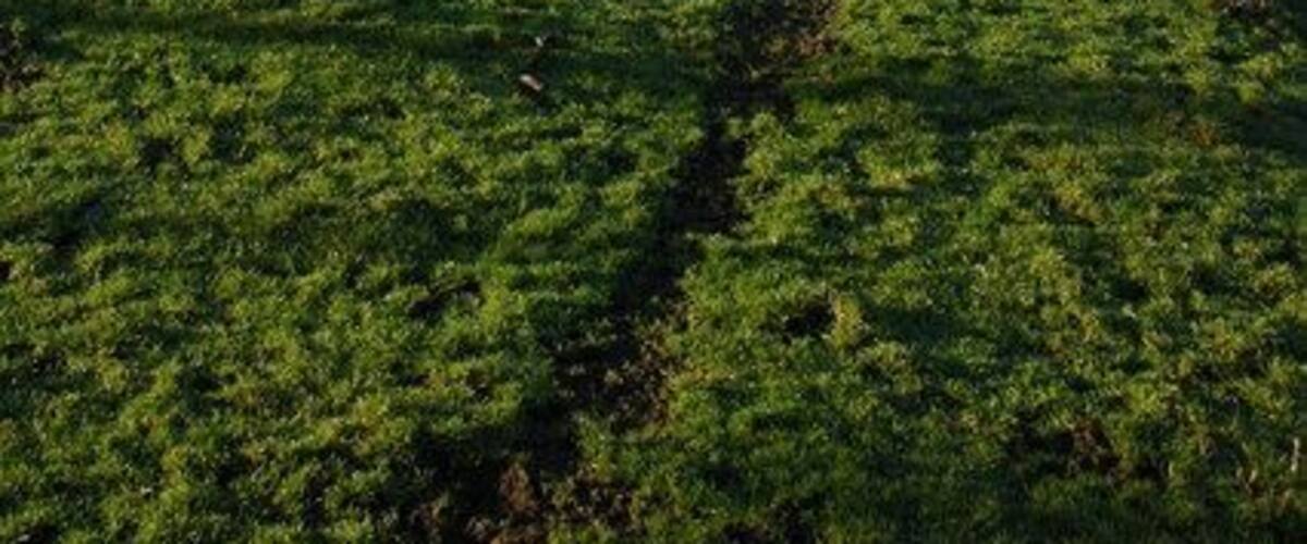 Hay Bluff Hay Bluff viewed from near the source of the River Monnow which flows through the gully on the right.