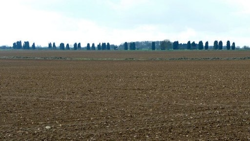 Arable fields of North Rauceby Heath Looking south-west from a point in the field south of the A17 Sleaford Road.