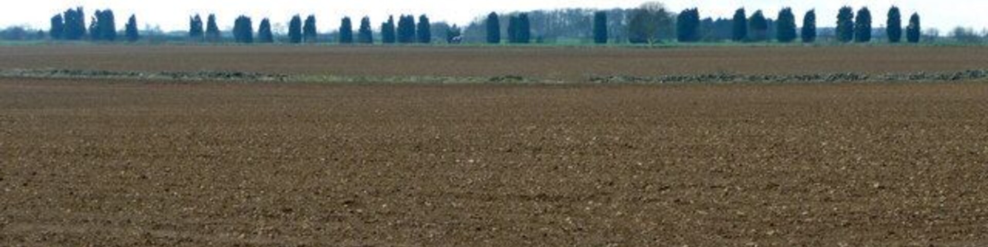Arable fields of North Rauceby Heath Looking south-west from a point in the field south of the A17 Sleaford Road.