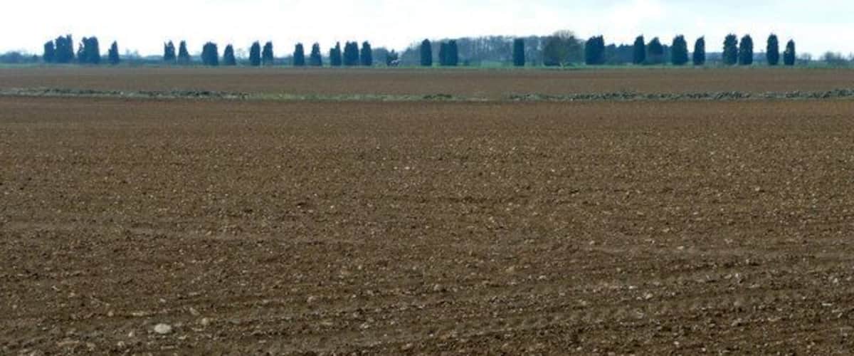 A plowed field with a line of trees in the distance.