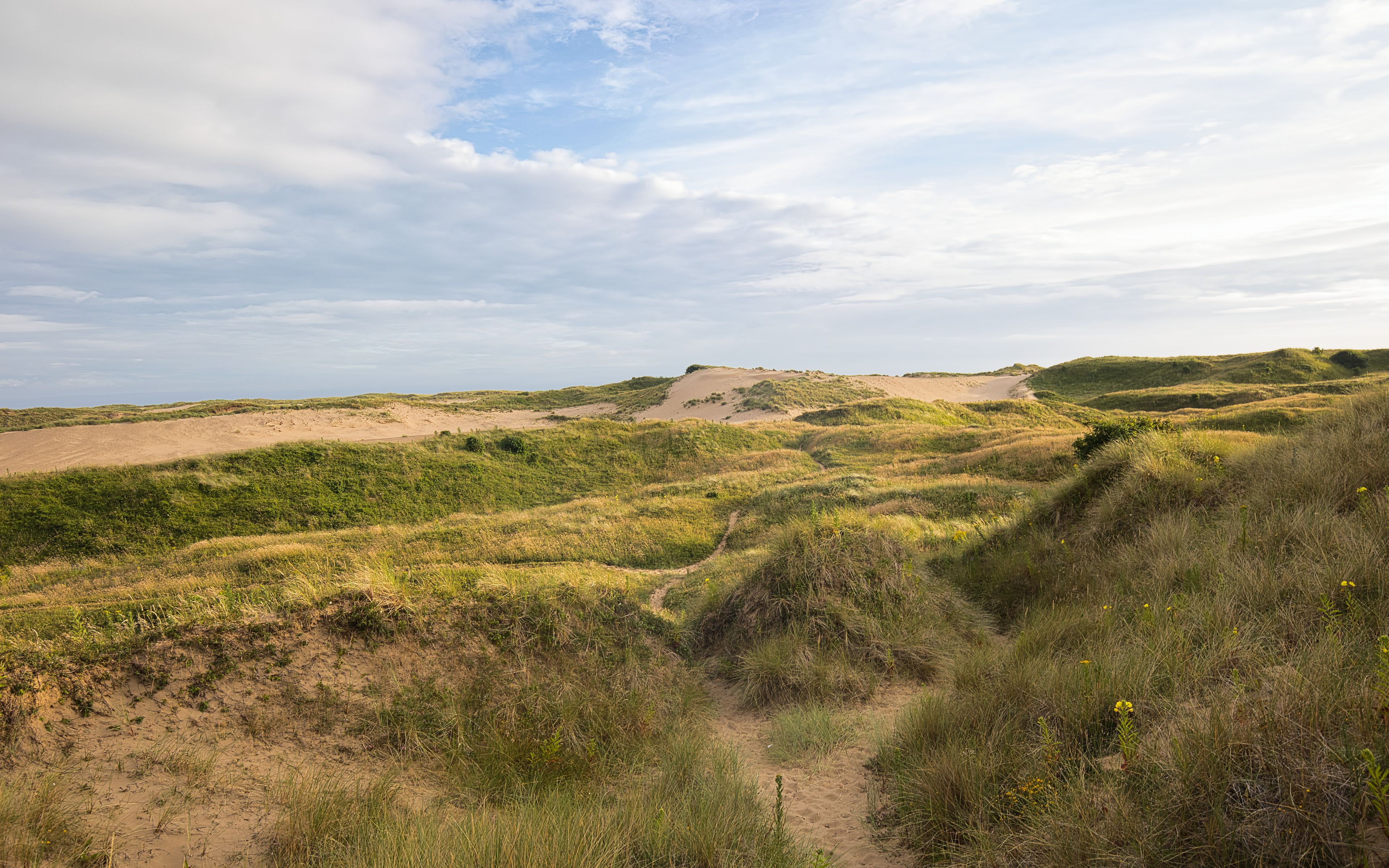 Paisaje de dunas costeras con un sendero de tierra que atraviesa las dunas.
