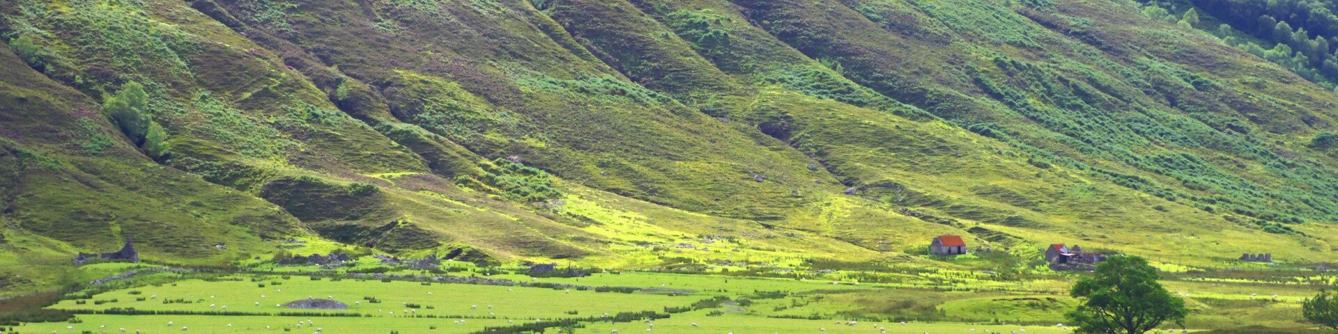 Un valle verde con colinas onduladas y casas dispersas.
