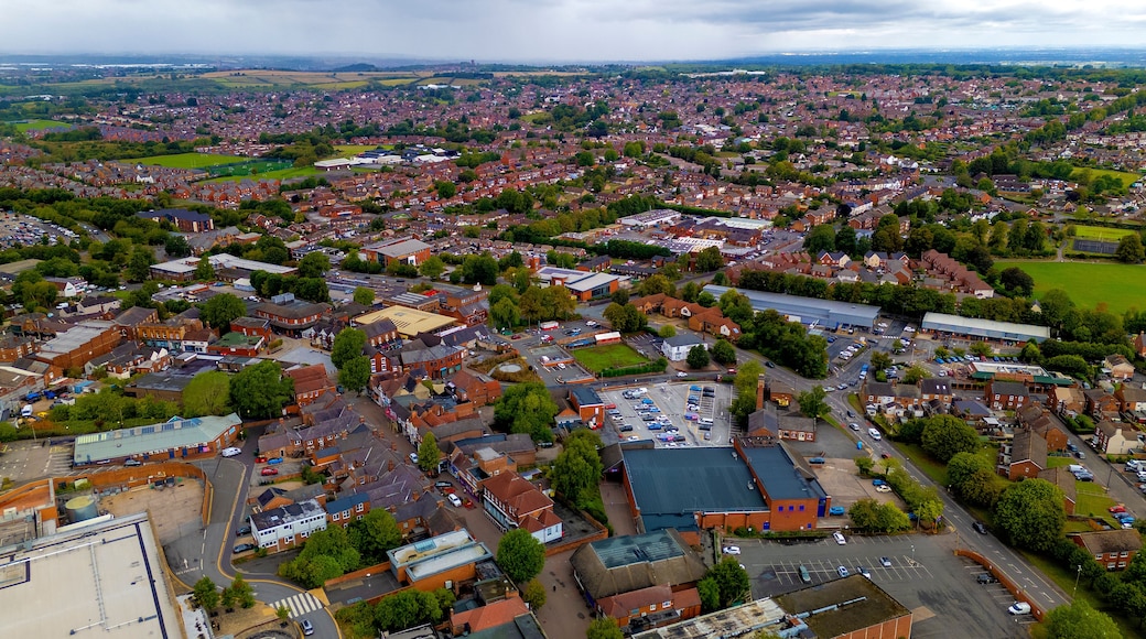 كوتون إن ذا إيلمز