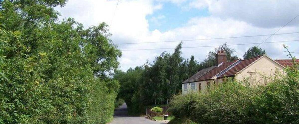 A narrow rural road flanked by dense greenery and residential houses.