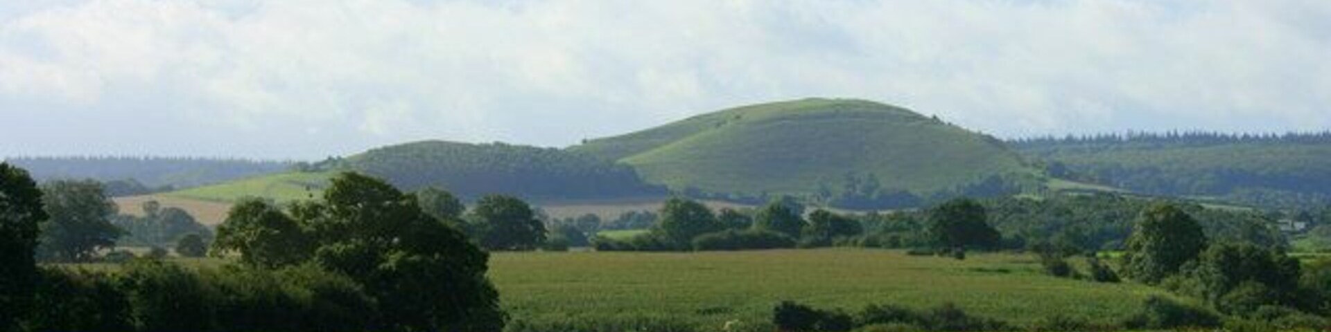 South from Chapmanslade to Cley Hill Ignore the rough pasture and enjoy another view to Cley Hill. ST8344