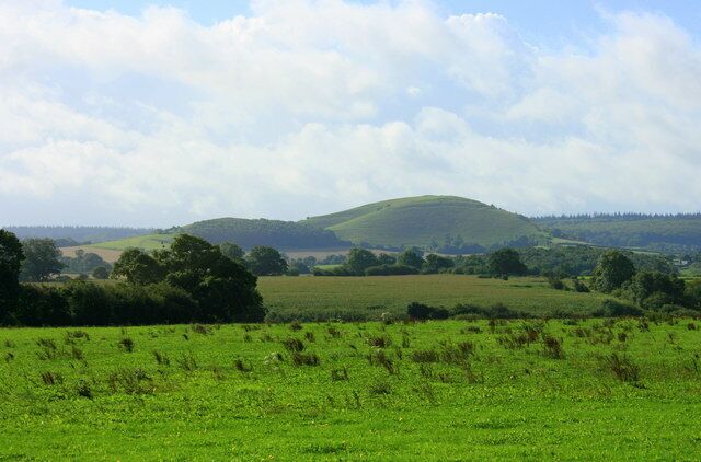 Rolling green hills, a clear sky, and scattered trees.