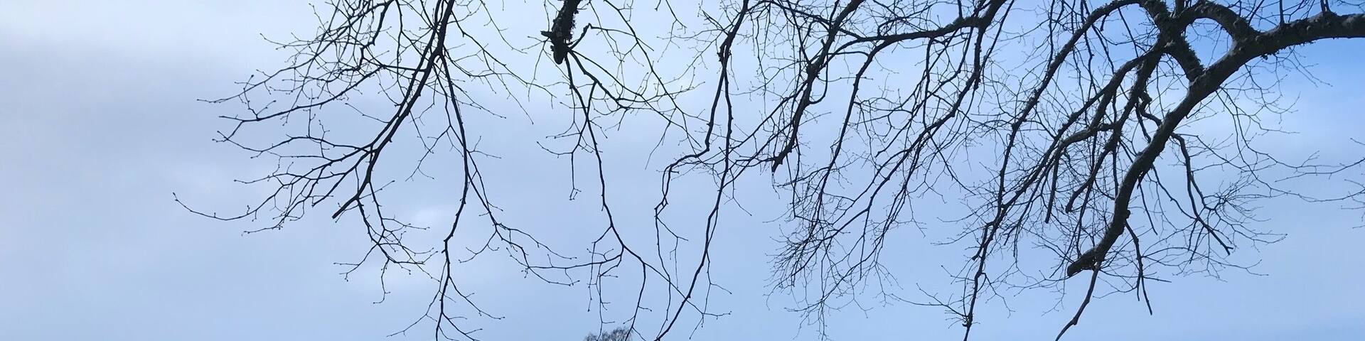 Neolithic burial site within a ring of stànding drones.