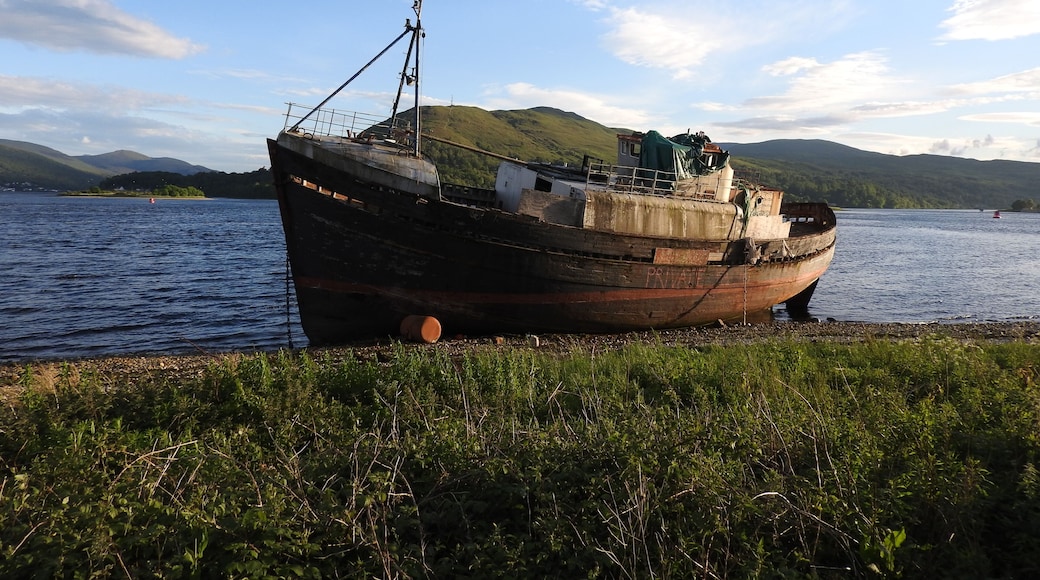 Abandoned vessel.
#LikeALocal