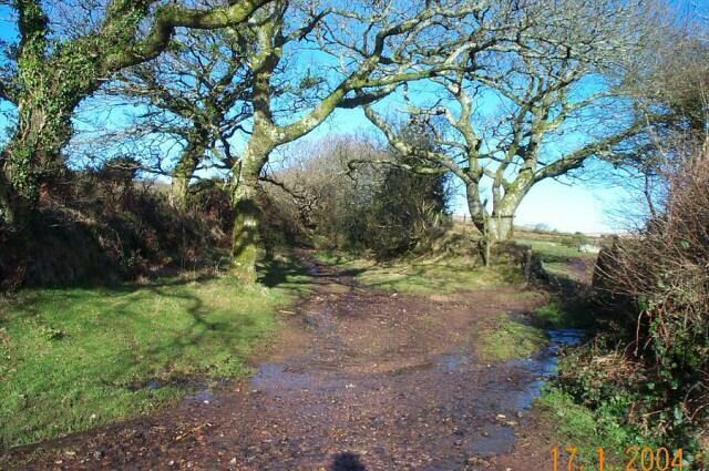 East Rook Gate - Dartmoor. The lane below East Rook Gate - SX 607613. Limited parking.