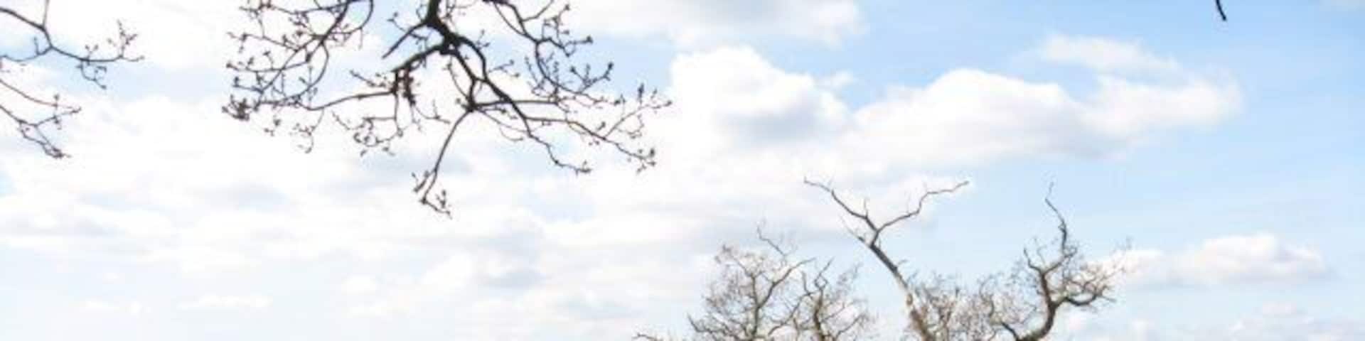 West from Mountain Clump A pleasant view and a good place for a picnic, under a big tree.