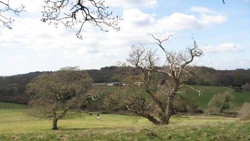 West from Mountain Clump A pleasant view and a good place for a picnic, under a big tree.