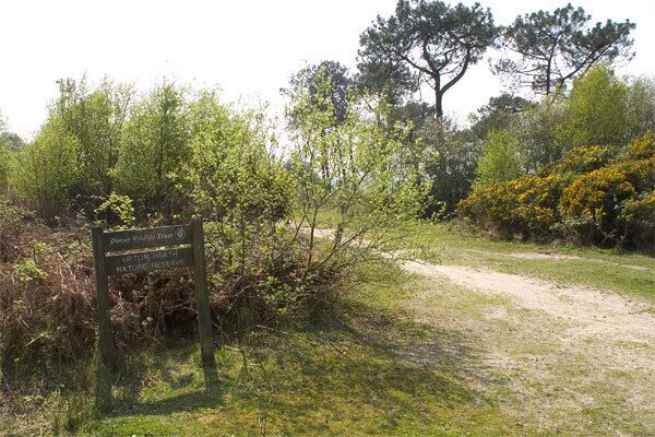 Hill View, Corfe Mullen. The sign marks the beginning of Dorset Wildlife Trusts nature reserve on Upton Heath http://www.wildlifetrust.org.uk/dorset/reserves/upton.htm