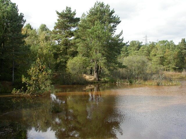 Upton Heath, old claypit One of a number of old clay pits to the South of Upton Heath, used for brick and tilemaking; some are now dry, and some are water-filled.