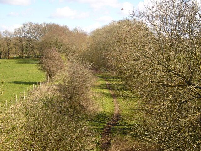Dismay at Dismantling Dismantled railway between Poole and Blandford Forum. From the hoof prints in the mud it is regularly used by horses.